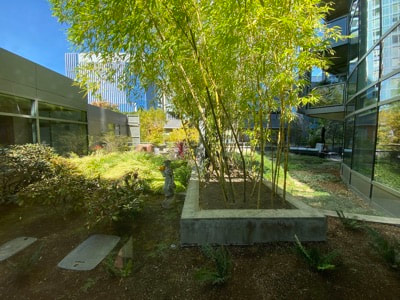 The John Ross lush landscaping